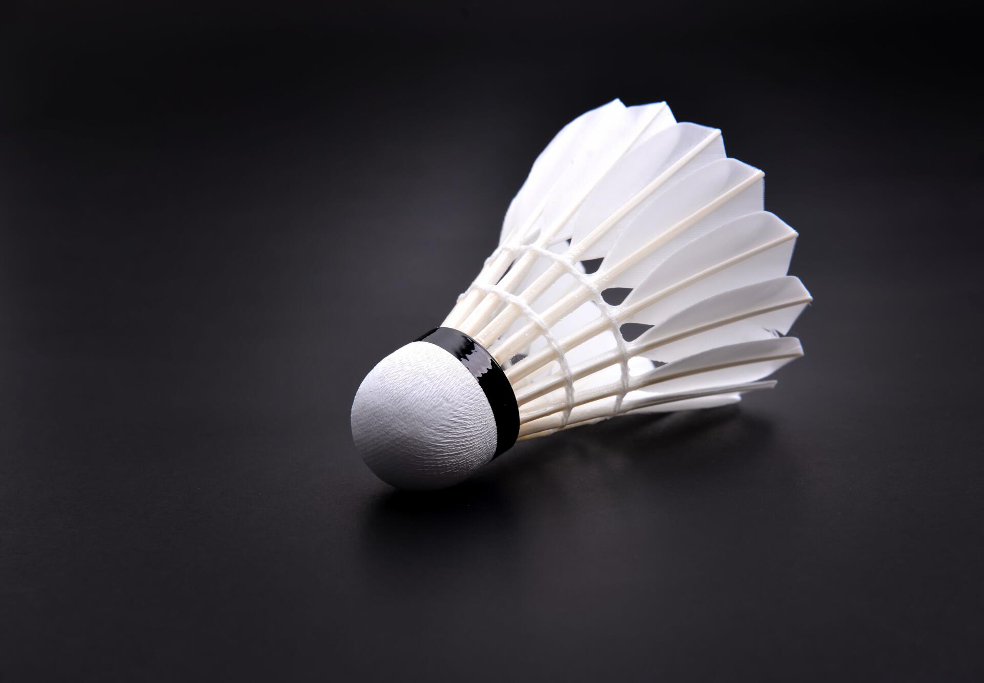 shuttlecock