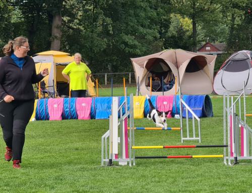 3. Agility-Turnier