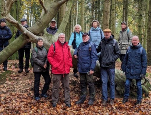 Bericht für das Wanderjahr 2023